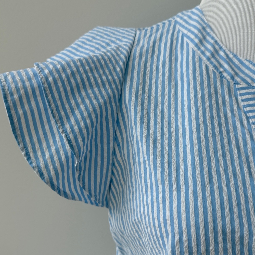Vineyard Vines Blue Striped Dress - Picture 6 of 12